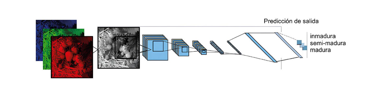 Figura 4: Arquitectura de la CNN utilizada en este trabajo.