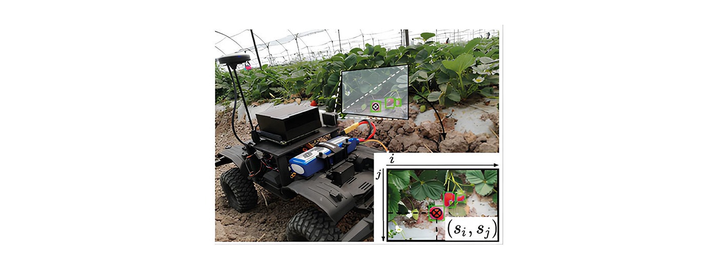 Figura 8. Rover detectando fresas en un entorno natural. En la esquina inferior derecha se puede ver la imagen capturada con las coordenadas del centroide de la fresa detectada (si, si). 