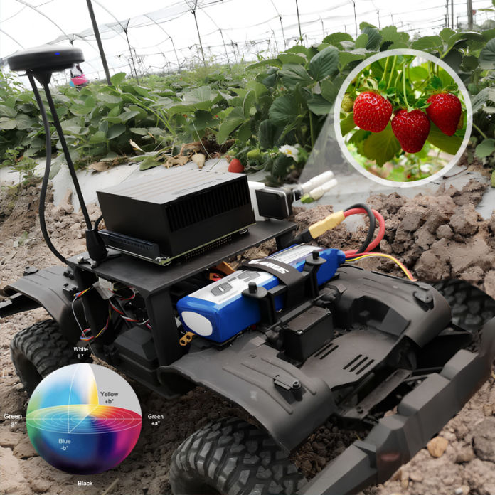 Robot Autónomo para la detección y clasificación de fresas en campos de cultivo mediante Deep Learning